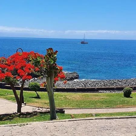 With Large Terrace And Ocean View Apartment Costa Adeje (Tenerife)